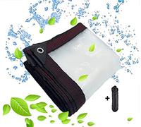 BCBIG telone trasparente occhiellato,tteloni impermeabile per esterno telo plastica polietilene con occhielli trasparenti occhiellati tende per antipioggia balcone legno pianta Giardino 3 x 3 m