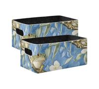 BCFHRGT Chic Frog Blue Sky Cube Storage Organizer 2 Pack Decorative Basket Organizzatori per Abbigliamento, Jeans, Libri
