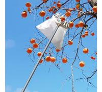 BCJMKDX Raccoglitore di Frutta, Raccoglitrice di Frutta, for la Raccolta di Mele, pere, Limoni e Arance, con Asta telescopica Estensibile e Impugnatura Antiscivolo(2.5m/8.2ft)