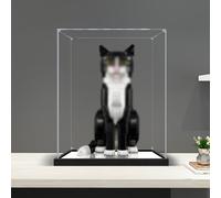 BCJMKDX Vetrina in acrilico, Espositore espositivo in acrilico autoassemblante for cimeli, supporto organizer a cubo for action figure/modelli(20cm(8") x20cm(8") x15cm(6"))