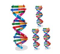 BCOATH 4 pezzi Kit Scientifico Dna Doppia Spirale Umana Strumento Educativo Biologico Dettagliato per Insegnamento Genetica e Scienza Resistente per Aule Scolastiche