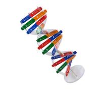 BCOATH Kit Dna Doppia Spirale Autoassemblante per Studenti Giocattolo Educativo di Biologia per Insegnamento Scientifico e Apprendimento Genetico Colore Casuale Colore Casuale