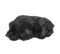 BCOATH scatola per nascondere le chiavi contanti chiave falsa guinzaglio tasti auto saving box accessori casa custodia per chiavi di nascondi soldi dall'aspetto finto resina Black