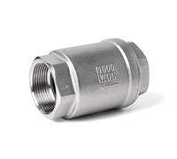 BCOMFY 1/4 "3/8" 1/2 "1" 3/4 "2" BSPT acciaio inossidabile SS304 SS316 filettatura interna valvola di ritegno a molla in linea a sollevamento verticale DN15 DN25(1",SS304)