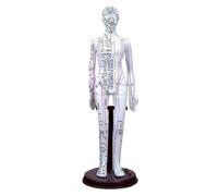 BCOMFY Modello dei meridiani uomo/donna Medicina cinese 52 cm/40 cm Modello del corpo umano for agopuntura Apparecchi for l'insegnamento e l'educazione medica(White Woman 40CM)