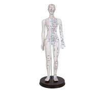 BCOMFY Modello dei meridiani uomo/donna Medicina cinese 52 cm/40 cm Modello del corpo umano for agopuntura Apparecchi for l'insegnamento e l'educazione medica(White Woman 52CM)