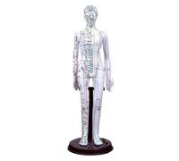 BCOMFY Modello del meridiano in PVC, punto di agopuntura umano, modello del corpo di donne e uomini, 40 cm, apparecchi didattici medici, oro bianco e rame.(White woman)