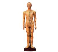 BCOMFY Modello del meridiano in PVC, punto di agopuntura umano, modello del corpo di donne e uomini, 40 cm, apparecchi didattici medici, oro bianco e rame.(Yellow man)