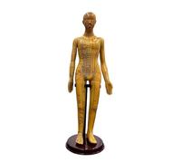 BCOMFY Modello di agopuntura del corpo umano adulto 52 cm, modello di medicina cinese for uomo/donna, meridiani, strumento didattico for l'educazione medica, decorazione for la casa(Female)
