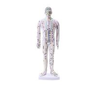 BCOMFY Modello di agopuntura del corpo umano da 35 cm, modello dei meridiani maschili, risorse didattiche for la scienza medica