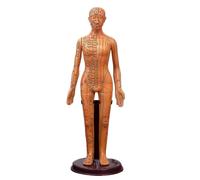 BCOMFY Modello di agopuntura for il corpo umano, modello di medicina cinese for uomo/donna, 40 cm/52 cm, apparecchio didattico for l'educazione medica(Gold Woman 40CM)