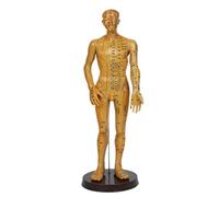 BCOMFY Modello di agopuntura for il corpo umano, modello di medicina cinese for uomo/donna, 40 cm/52 cm, apparecchio didattico for l'educazione medica(Gold Man 52CM)