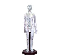 BCOMFY Modello di agopuntura for il corpo umano, modello di medicina cinese for uomo/donna, 40 cm/52 cm, apparecchio didattico for l'educazione medica(White Woman 52CM)