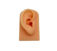 BCOMFY Modello di orecchio in silicone con supporto in acrilico, modello elastico morbido, modello di orecchio finto, stampo realistico for l'esposizione di gioielli(Flesh color right)