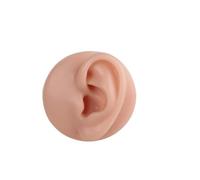BCOMFY Modello di piercing in silicone, visualizzazione di parti del corpo, simulazione flessibile 3D di lingua, bocca, naso, orecchio, modello for la pratica del piercing(Ear)