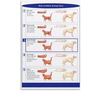 BCS Chart Poster Cat Dog Body Fat Assessment Guide