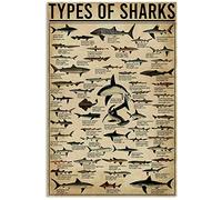 BCTS - Poster con ritratto di tipi, stile vintage, con scritta "Types of Sharks", 20 x 30 cm