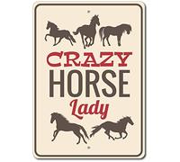 BCTS - Targa in metallo per amanti dei cavalli, decorazione per cavalli, divertente cartello in metallo per esterni, 30 x 45 cm
