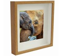 BD ART 3D Box Cornice per Foto 28x28 cm Profonda 3 cm Cornice Foto con Foglio Plexiglass Trasparente - Bianco Passe-partout 19x19 cm quercia piazza Decorazioni Fai da Te