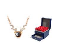 BDDCYWY Gioielli/collane collane, collane per Donne ， Forma della Corna, intagliata Micro nel Cerchio 100 Lingue Ti Amo, Lunghezza Totale 14,96 Pollici Pendenti delle Donne