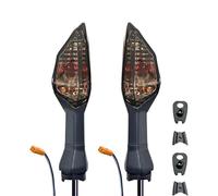 BDDXWSM Indicatore Direzione Moto Per KLZ Per Versys 1000 KLE Per ZRX 1200 Per NINJA 250 SL Luci ausiliarie laterali(Fumo)