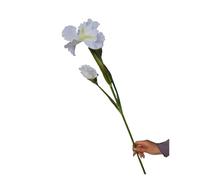 BDFJEDS 2 pezzi artificiali a 3 teste di fiori iris ramo primavera decorazioni for la casa decorazione della tavola Flores finti seta for feste(White)