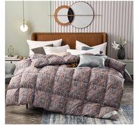 BDMFJY Bedding Invernale Piumone Caldissimo Piumino in Piuma, D'Oca di 95% Piuma, Extra-Leggero,Matrimoniale, Lussuoso Fodera in Puro Cotone, Colore Multiplo,E,220x240cm(3200g)