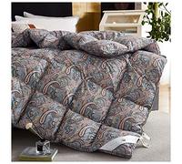 BDMFJY Piumino in Piuma D'Oca, Piumino di qualità Lussuosa, 95% Piuma D'Oca con Rivestimento in Cotone ad Alta Densità, Caldissimo Piumino, Matrimoniale,H,220x240cm (3.3kg)