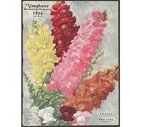 BDTS Vaughan'S Gardening 1936 - Poster retrò con fiori e verdure, per interni e feste, 20 x 30 cm