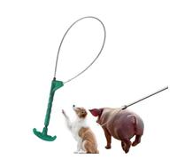 Bduttlefish Palo cattura maiali, palo cattura cani, palo di controllo degli animali, supporto per maiali in acciaio inossidabile, strumento per il supporto del cappio per cani, maiali, suini, animali
