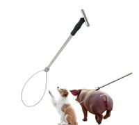 Bduttlefish Palo cattura maiali, palo cattura cani, palo di controllo degli animali, supporto per maiali in acciaio inossidabile, strumento per il supporto del cappio per cani, maiali, suini, animali