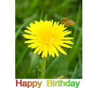 Be Big: Widescreen TV.: Biglietto di auguri: Buon compleanno