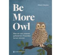 Be More Owl: cosa possiamo imparare dai nostri amici piumati Alison...