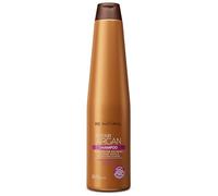 BE NATURALE. Repair Argan. Shampoo di riparazione per capelli maltrattati. Traslucido. Riparazione estrema. Olio di Argan. Vitamina E. Contenuto 350 ml.