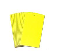 BE-TOOL Trappole per insetti appiccicose, 2 confezioni da 25 x 15 cm, gialle bifacciali per tutti i parassiti volanti della serra (10 pezzi per confezione)