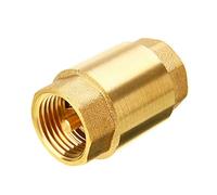 BE-TOOL Valvola di ritegno a molla 1" 30mm Valvola di ritegno singola in ottone non ritorno per acqua, olio, vapore e altri supporti (confezione da 1)