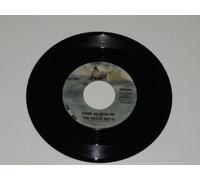 Beach Boys - Come go with me - Don't go near the water