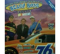 Beach Boys - Mike Love, Bruce Johnston and David Marks of the Beach Boys Salute Nascar (UK Import)
