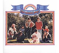 The Beach Boys Sunflower / Surf's Up (CD) Album