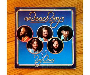 Beach Boys The - 15 Big Ones