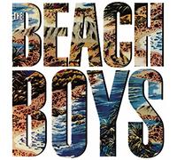 The Beach Boys The Beach Boys (Vinyl LP) 12" Album