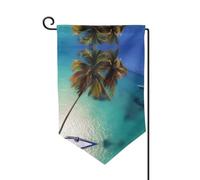 Beach Coconut Sunshine