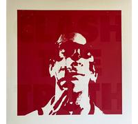 Beach Fossils Clash the Truth (Vinyl LP)