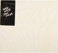Beach House Teen Dream 12" Album