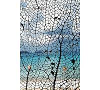 Beach Travel Vacation Journal: A place to keep preserve thoughts while feet are in the sand