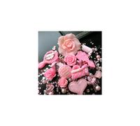 Beading Station 12 Pc Flat Back 3D Rose Cabochons Decorations Jewelry Making DIY KitPack Pink Deco Kit