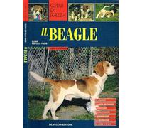 Beagle