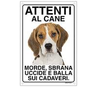 BEAGLE Attenti al cane morde sbrana uccide e balla sui cadaveri (15X20)