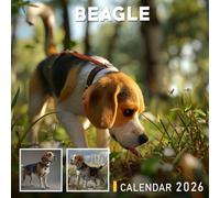 Beagle Calendar 2026: Happy-Go-Lucky Companions with Big Eyes and Brave Hearts