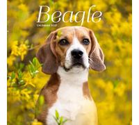 Beagle Calendar 2027: Dog Portraits and Breed Scenes